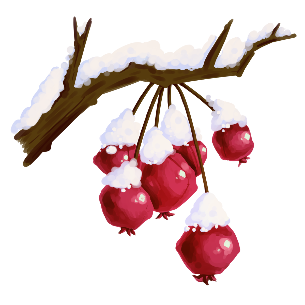 crab apple